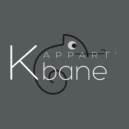 L'appart K-ractere- City, Cosy Et Design Pour 4 Pers * ルマン